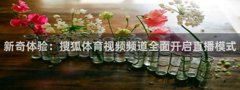 熊猫主播视频