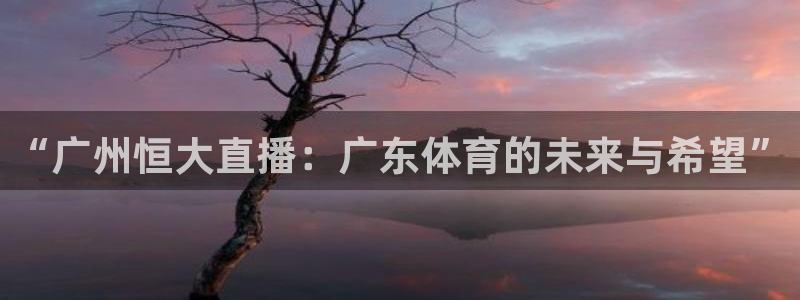 熊猫主播