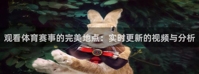 熊猫的视频：观看体育赛事的完美地点：实时更新的视频与分析