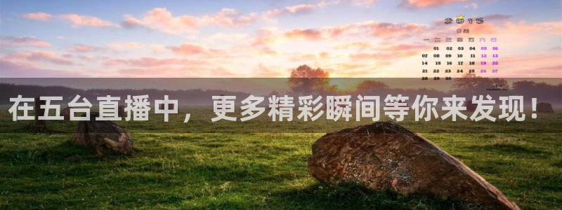 熊猫app直播：在五台直播中，更多精彩瞬间等你来发现！