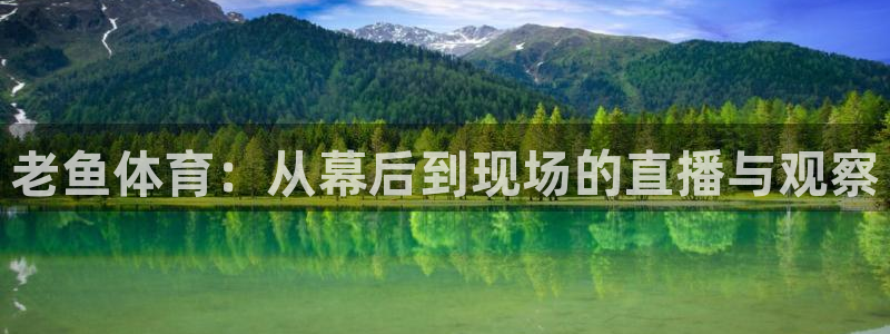 熊猫主题：老鱼体育：从幕后到现场的直播与观察