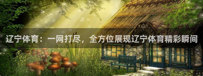 熊猫视：辽宁体育：一网打尽，全方位展现辽宁体育精彩瞬间