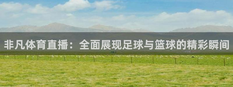 熊猫体育直播平台：非凡体育直播：全面展现足球与篮球的精彩瞬间