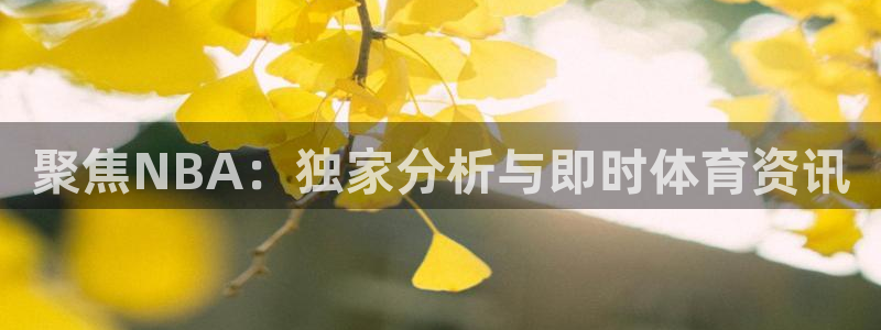 直播 熊猫：聚焦NBA：独家分析与即时体育资讯