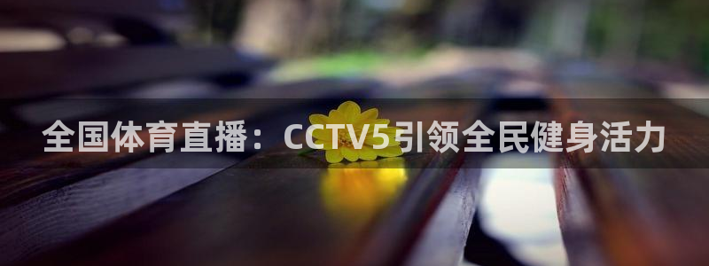 熊猫体育直播新版.新网页.org：全国体育直播：CCTV5引领全民健身活力