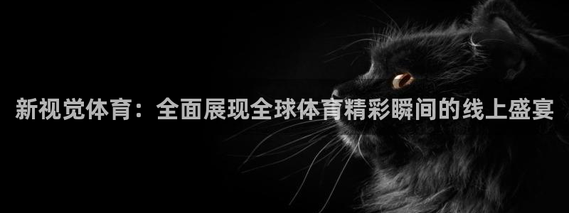 熊猫直播下载安装官方下载：新视觉体育：全面展现全球体育精彩瞬间的线上盛宴