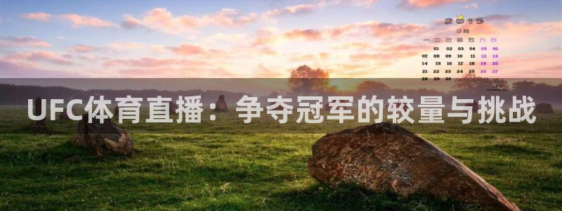 熊猫体育直播平台新v1版.官方站.org：UFC体育直播：争夺冠军的较量与挑战