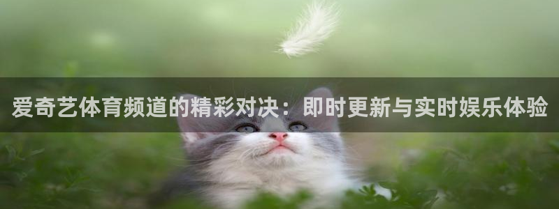 关于熊猫的