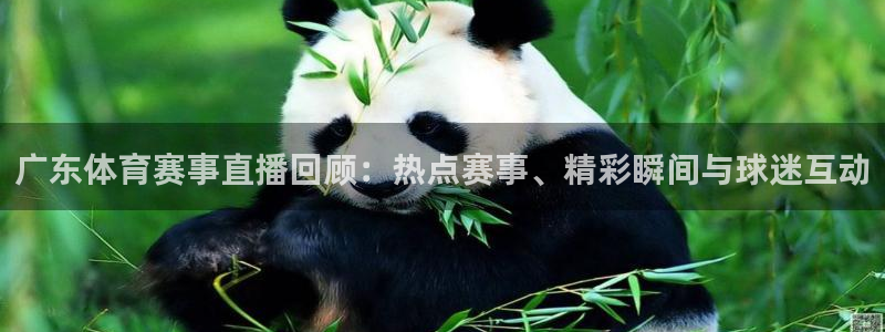 熊猫主题：广东体育赛事直播回顾：热点赛事、精彩瞬间与球迷互动