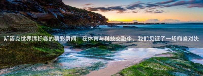熊猫体育直播app