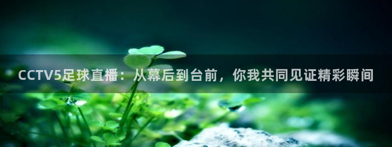 熊猫体育直播app：CCTV5足球直播：从幕后到台前，你我共同见证精彩瞬间
