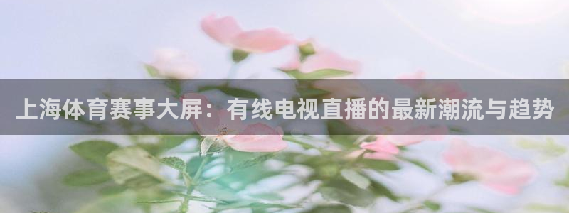 熊猫体育nba：上海体育赛事大屏：有线电视直播的最新潮流与趋势