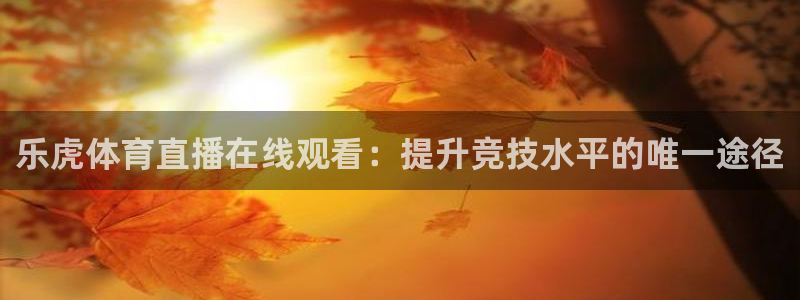 中山熊猫体育：乐虎体育直播在线观看：提升竞技水平的唯一途径